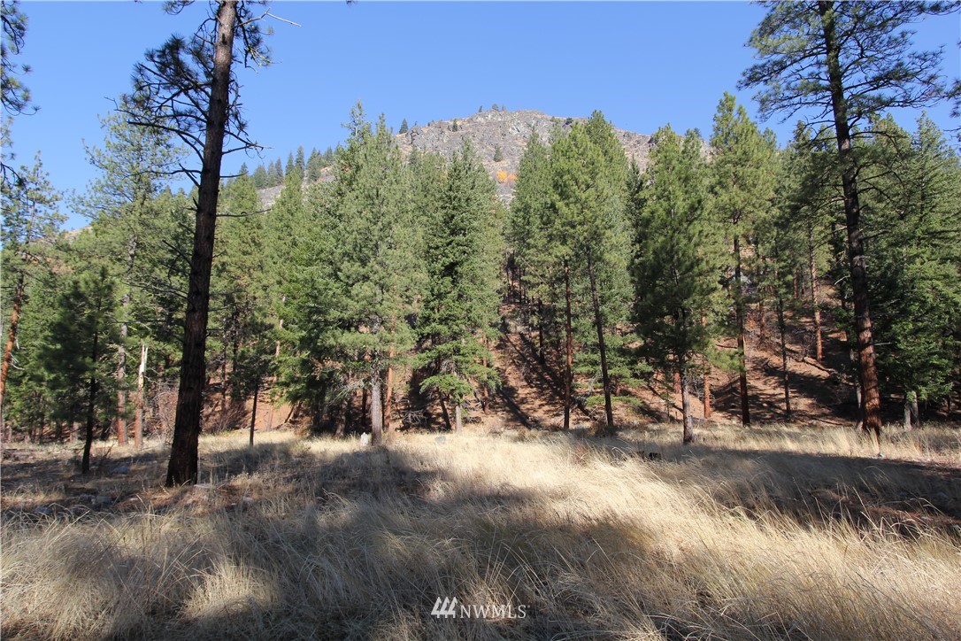 0 Lot 30 Last Chance Road Mazama, WA 98833 - Photo 9 of 25 Gallery Image 9