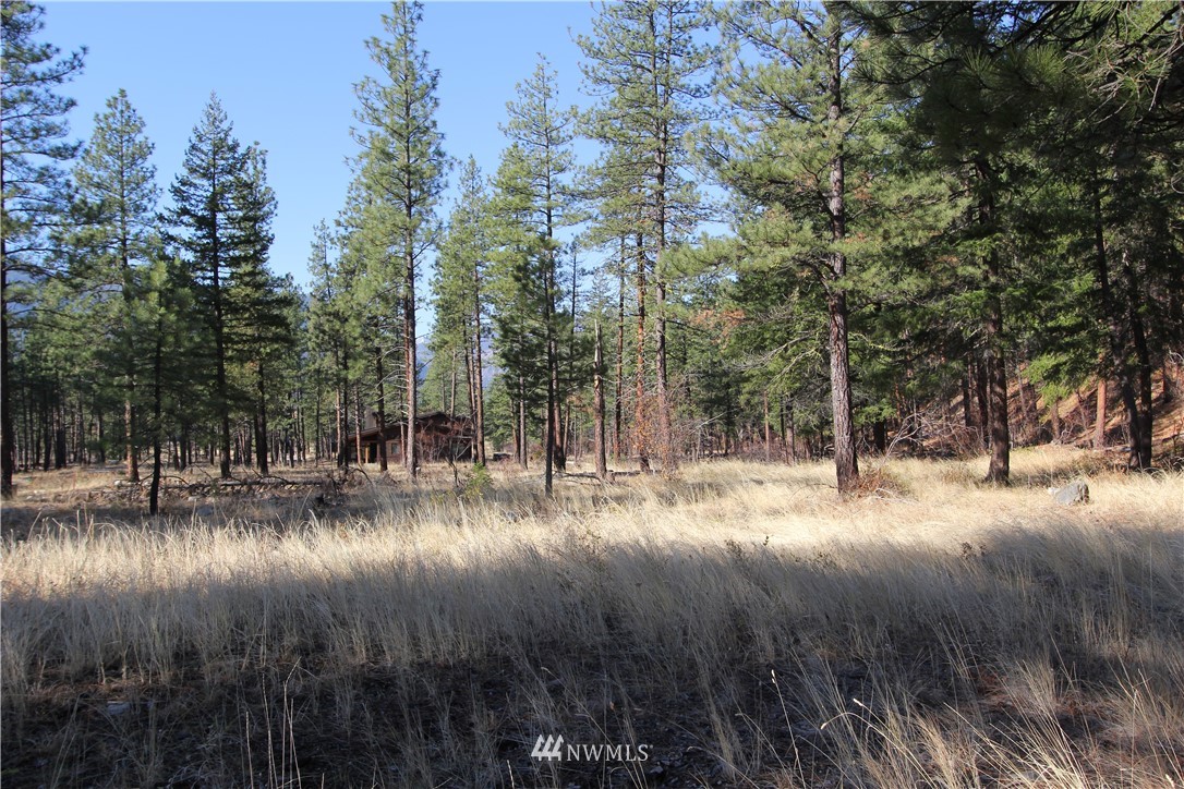 0 Lot 30 Last Chance Road Mazama, WA 98833 - Photo 10 of 25 Gallery Image 10