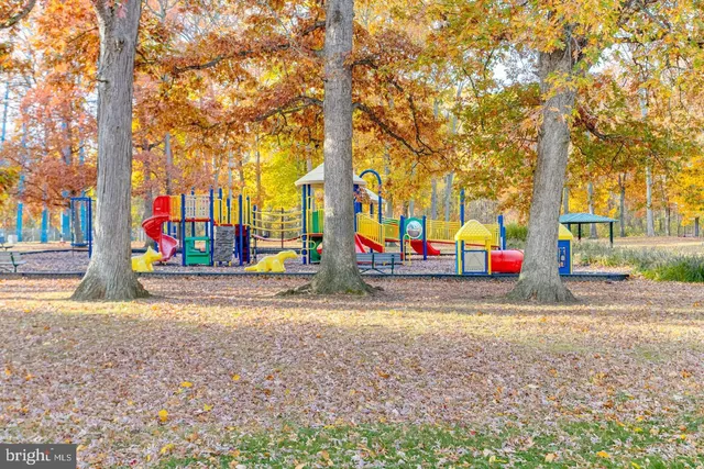 a view of park with large trees