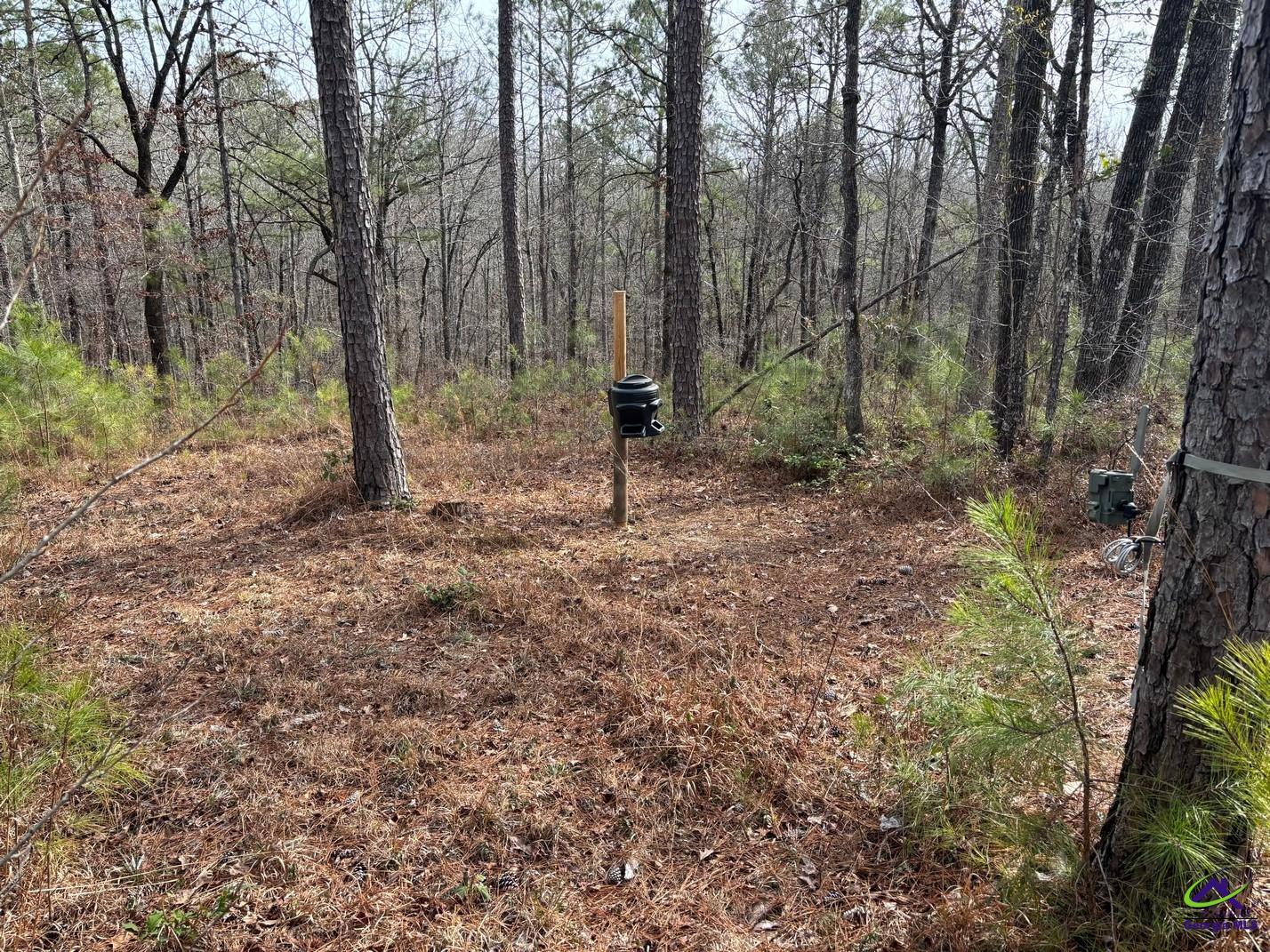 1351 Dixon Road Roberta, GA 31078 - Photo 20 of 26