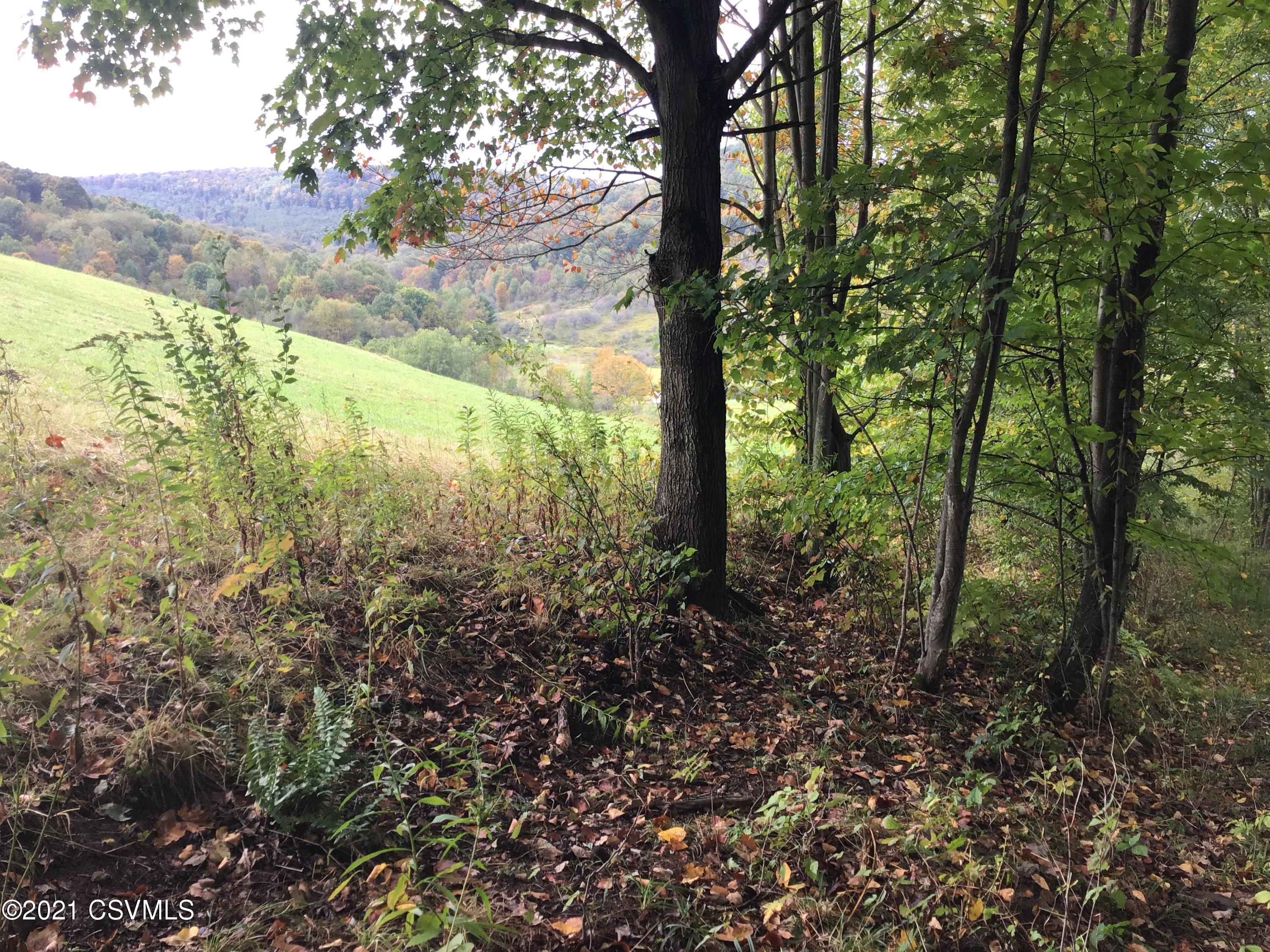 0 Canada Hollow Road Shinglehouse, PA 16748 - Photo 20 of 22 Gallery Image 20