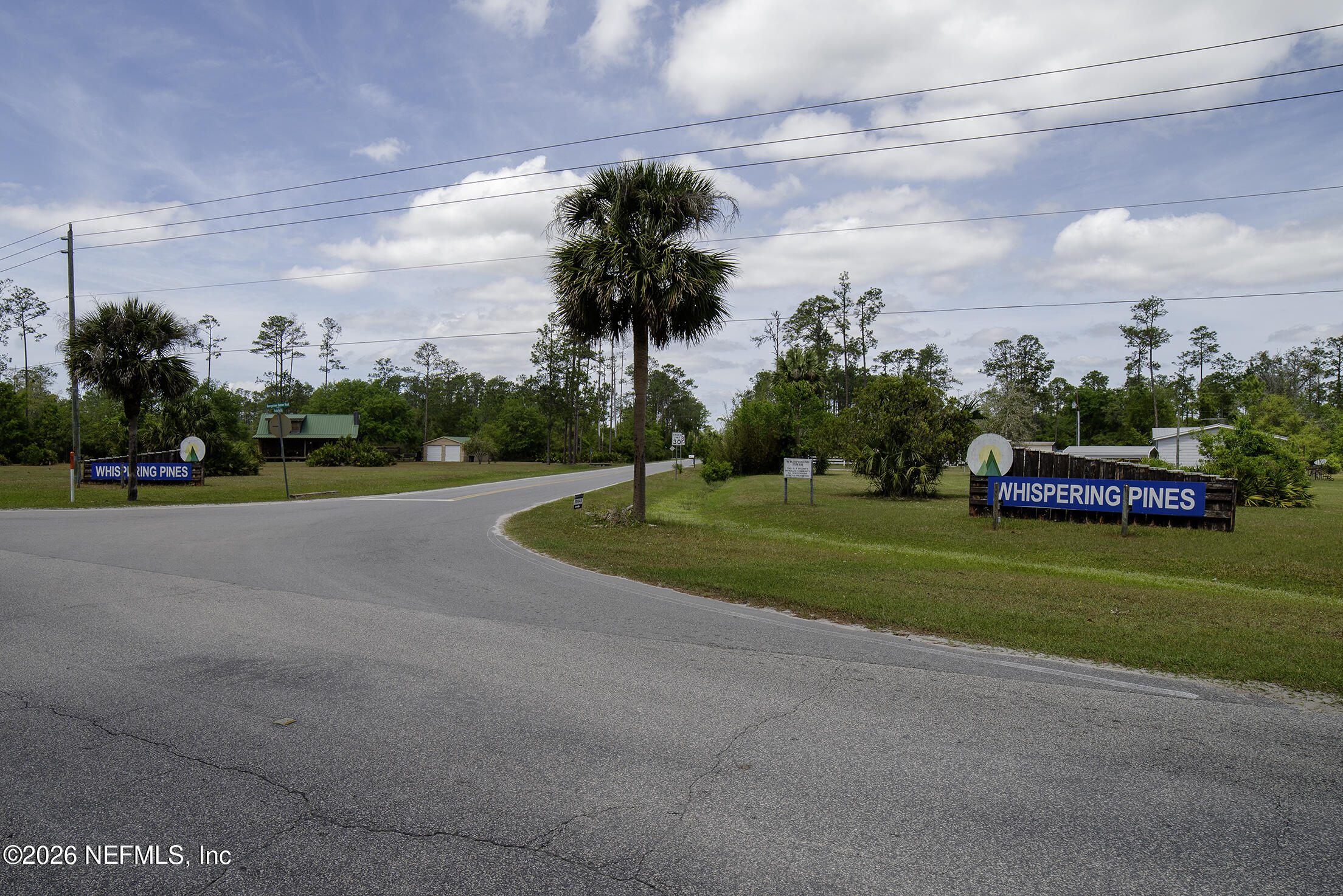 206 Dolphin Drive Georgetown, FL 32139 - Photo 15 of 27 a view of a park with large trees