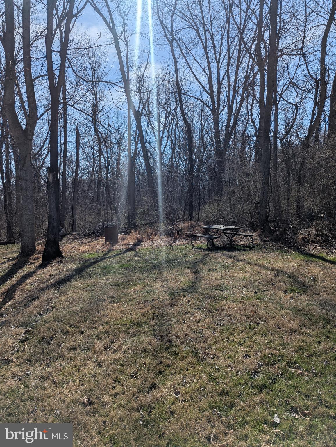 31 Animal Road Falling Waters, WV 25419 - Photo 3 of 10 Back area behind camper