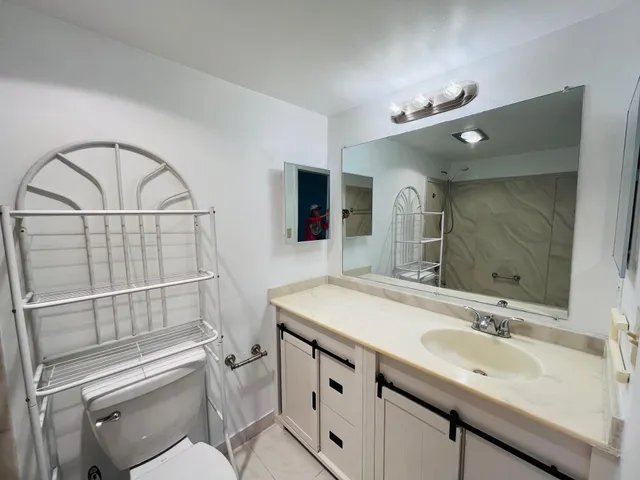 a bathroom with a sink a toilet and a mirror