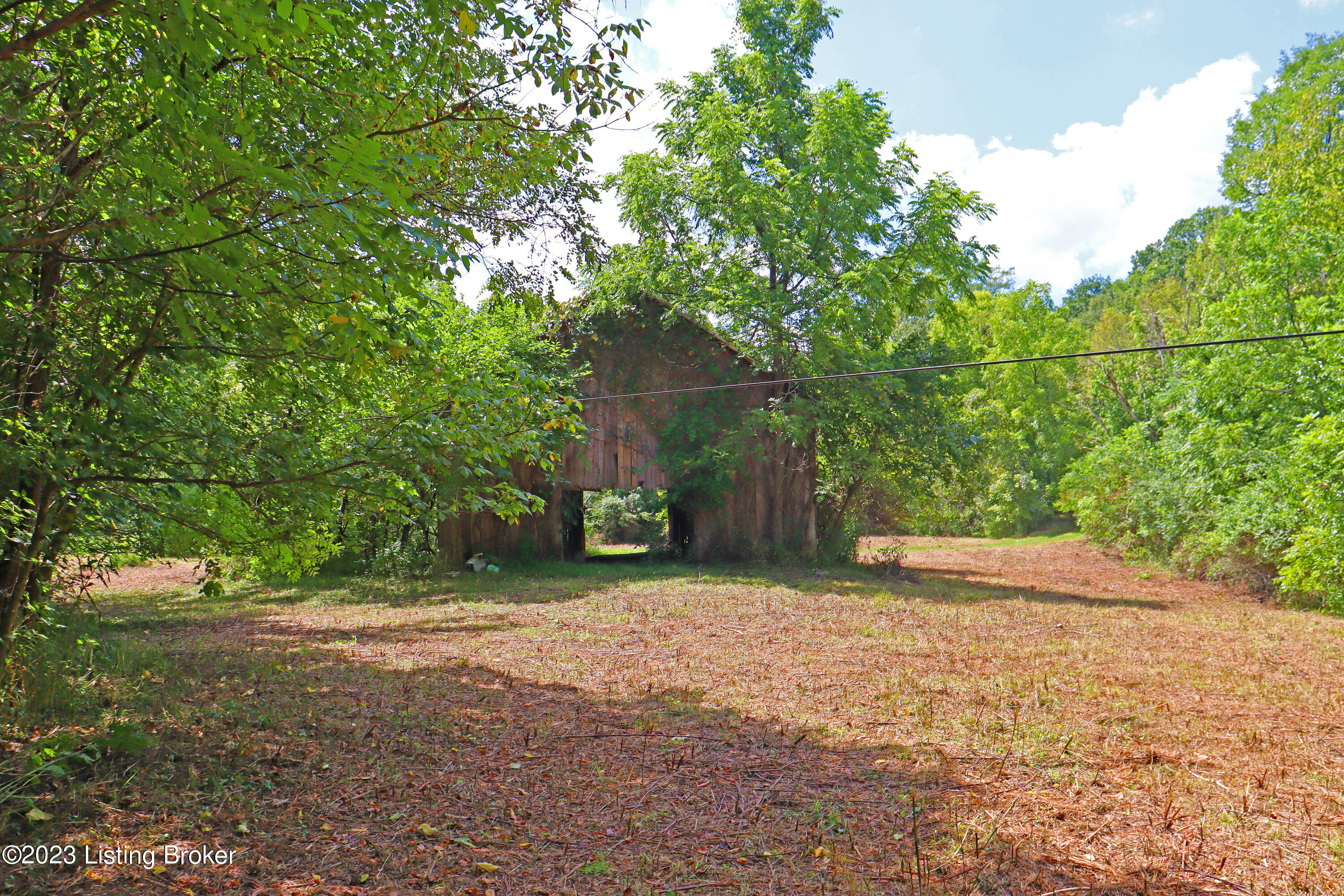 9006 River Road Turners Station, KY 40075 - Photo 17 of 39 Barn 2