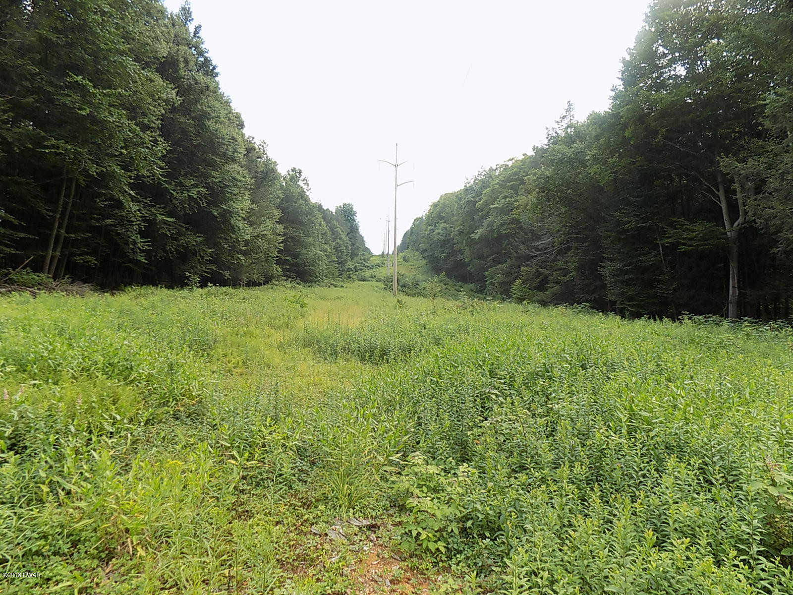 East Sterling Road Newfoundland, PA 18445 - Photo 8 of 18 A Perfect Hunting/Quad Riding Property !