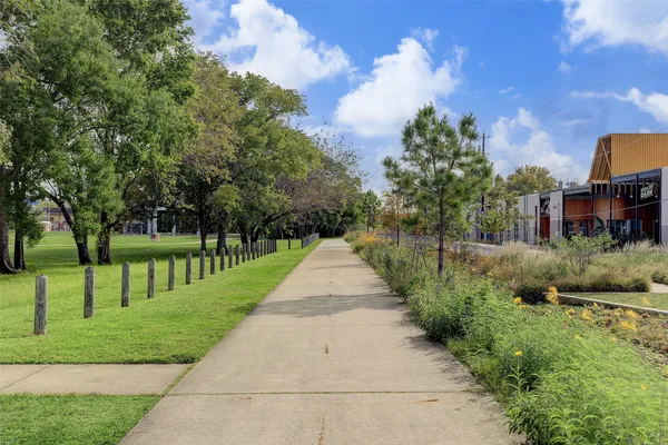 a view of a park with large trees