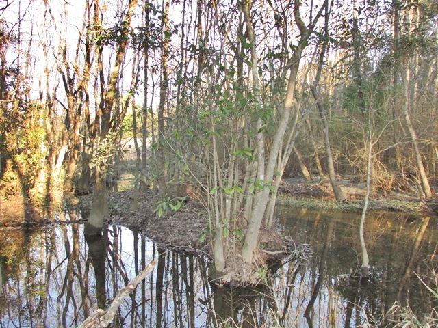 10172 Foxrun Road Pensacola, FL 32514 - Photo 48 of 50