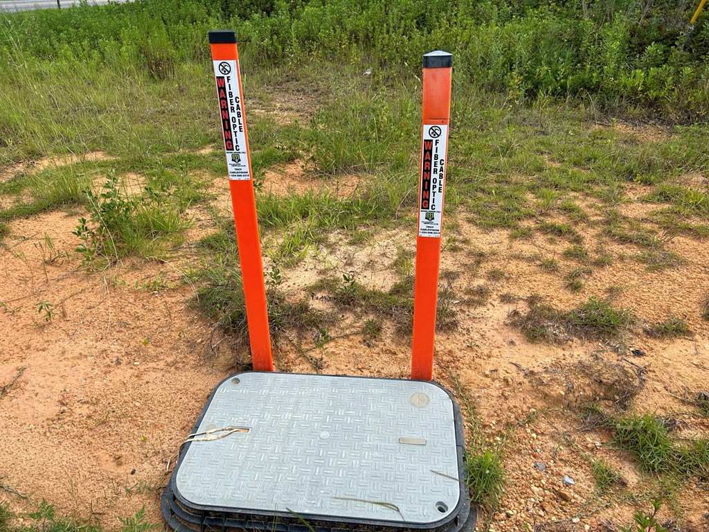 75/ Nuclear Plant Road Columbia, AL 36319 - Photo 11 of 34