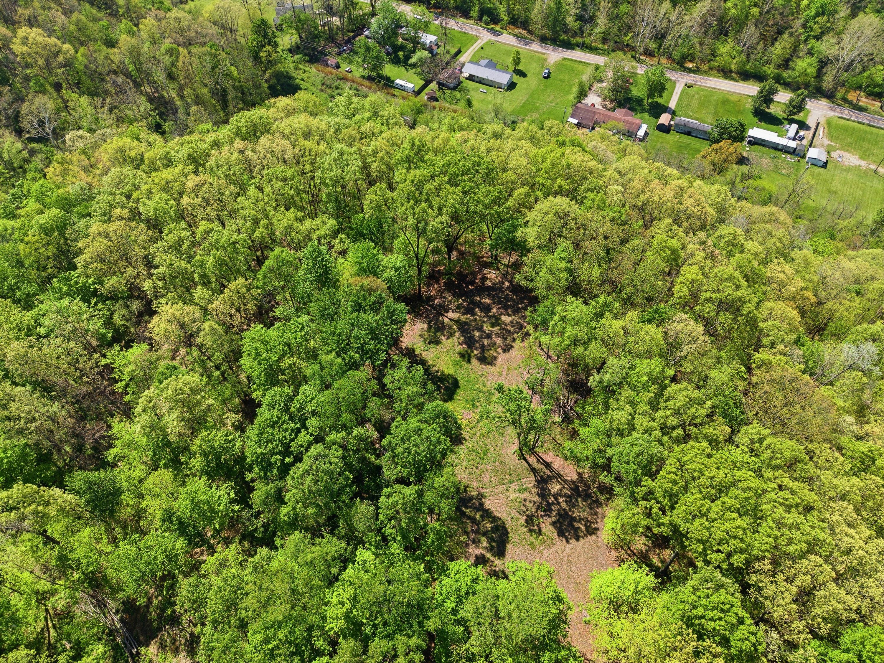 0 Rockville Road Blue Rock, OH 43720 - Photo 11 of 35 Rockville Rd-1-11