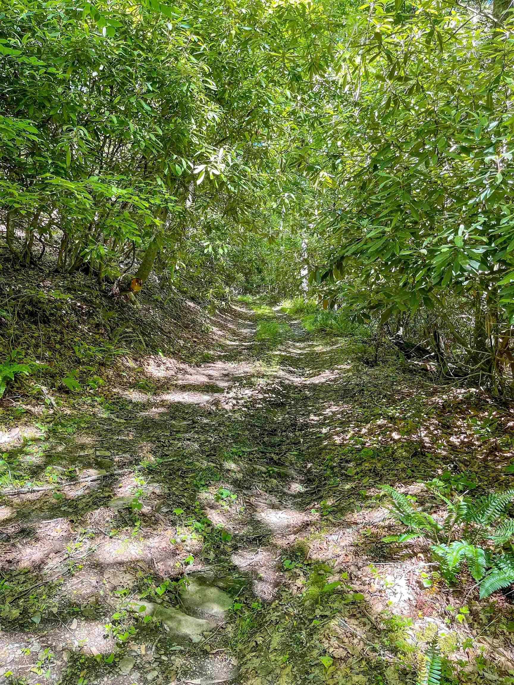 Tbd 68.5-ac Tbd 68.5-ac Berryhill Road Riner, VA 24149 - Photo 20 of 25 Gallery Image 20