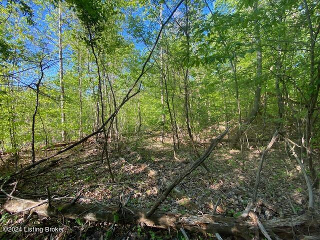 0 Martin Pierce Road Cub Run, KY 42729 - Photo 2 of 19 1