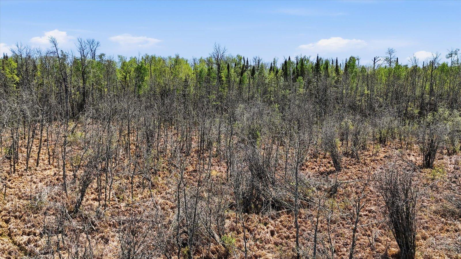 Tbd Cedar Point Road Marcell, MN 56657 - Photo 14 of 21