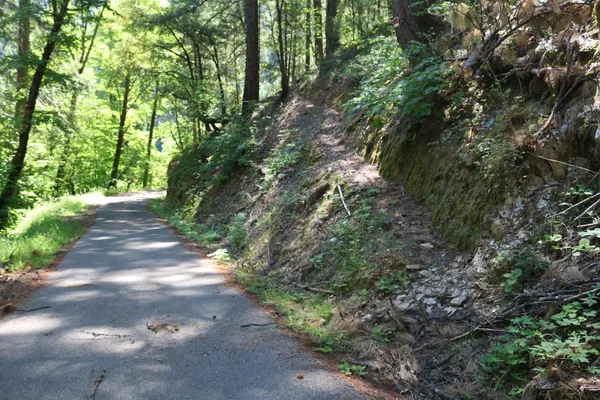 $74,500 | 543 Main Street, Downieville, CA 95936