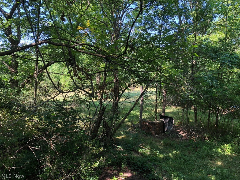 704 Akron Road Wadsworth, OH 44281 - Photo 22 of 22 View of backyard
