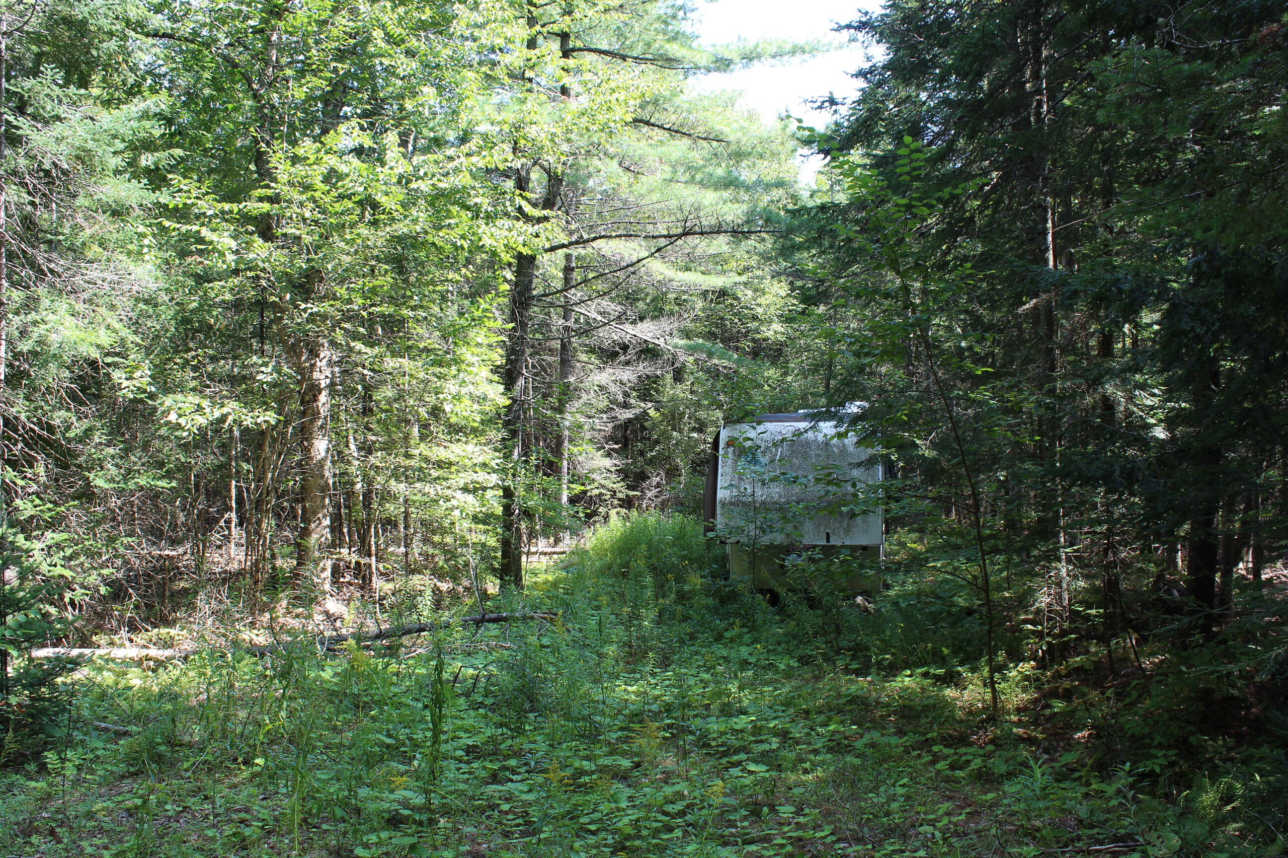 M62-2 Lt 3 M62-2 Road Belfast, ME 04915 - Photo 8 of 15 IMG_1273