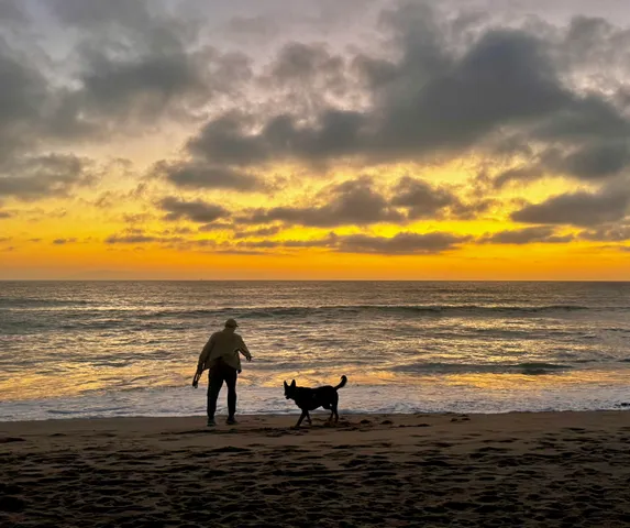 a view of an ocean and beach