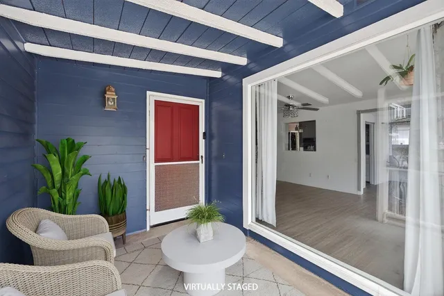 a room with furniture and a potted plant