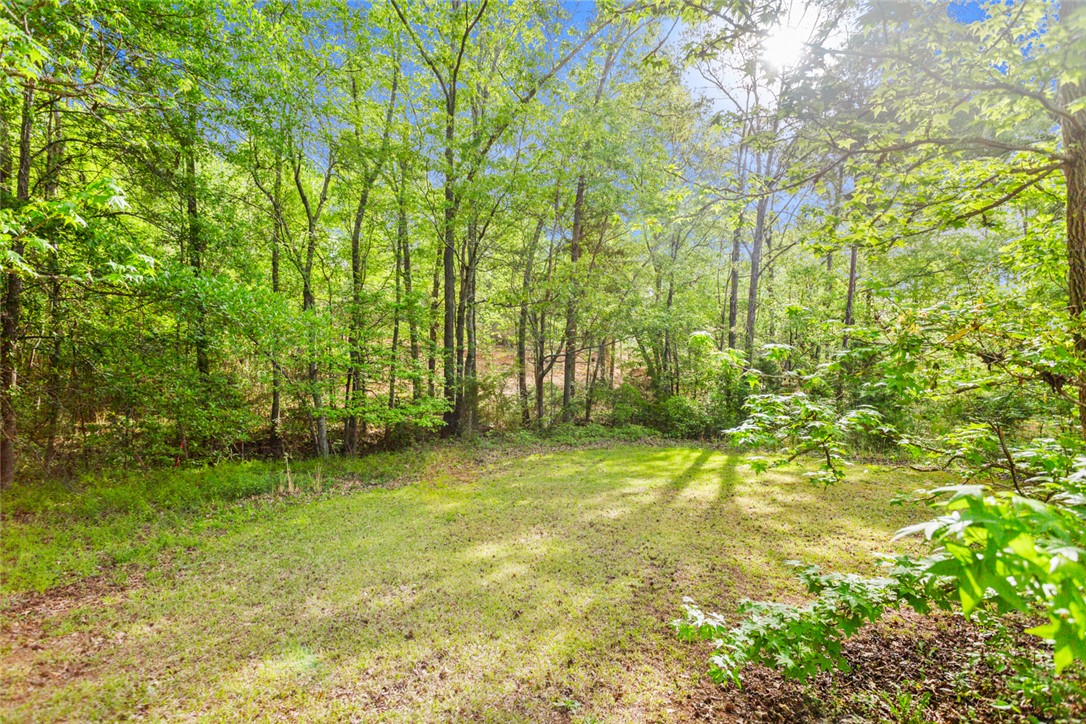3344 Centerville Road Anderson, SC 29625 - Photo 42 of 50 Gallery Image 42
