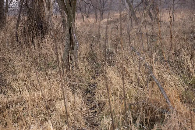 $505,120 | 330 East Th Street, Bethany, MO 64424