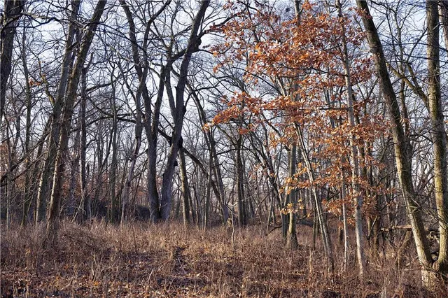 $505,120 | 330 East Th Street, Bethany, MO 64424