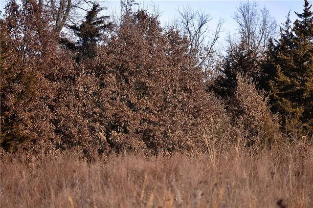 $505,120 | 330 East Th Street, Bethany, MO 64424