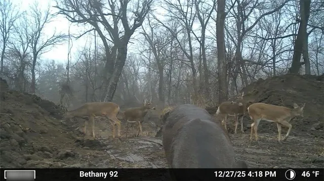 $505,120 | 330 East Th Street, Bethany, MO 64424