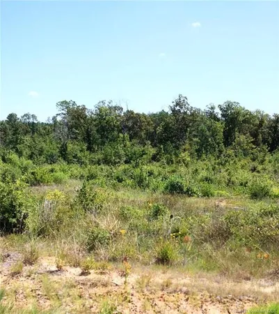 $16,500 | 22 Lebleu Road, Leesville, LA 71446