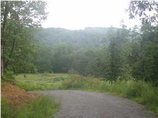2 McCarver Loop Road Dunlap, TN 37327 - Photo 1 of 4 Primary Photo