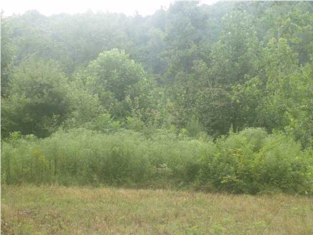 2 McCarver Loop Road Dunlap, TN 37327 - Photo 3 of 4 Additional Photo