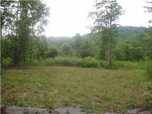 2 McCarver Loop Road Dunlap, TN 37327 - Photo 4 of 4 Additional Photo