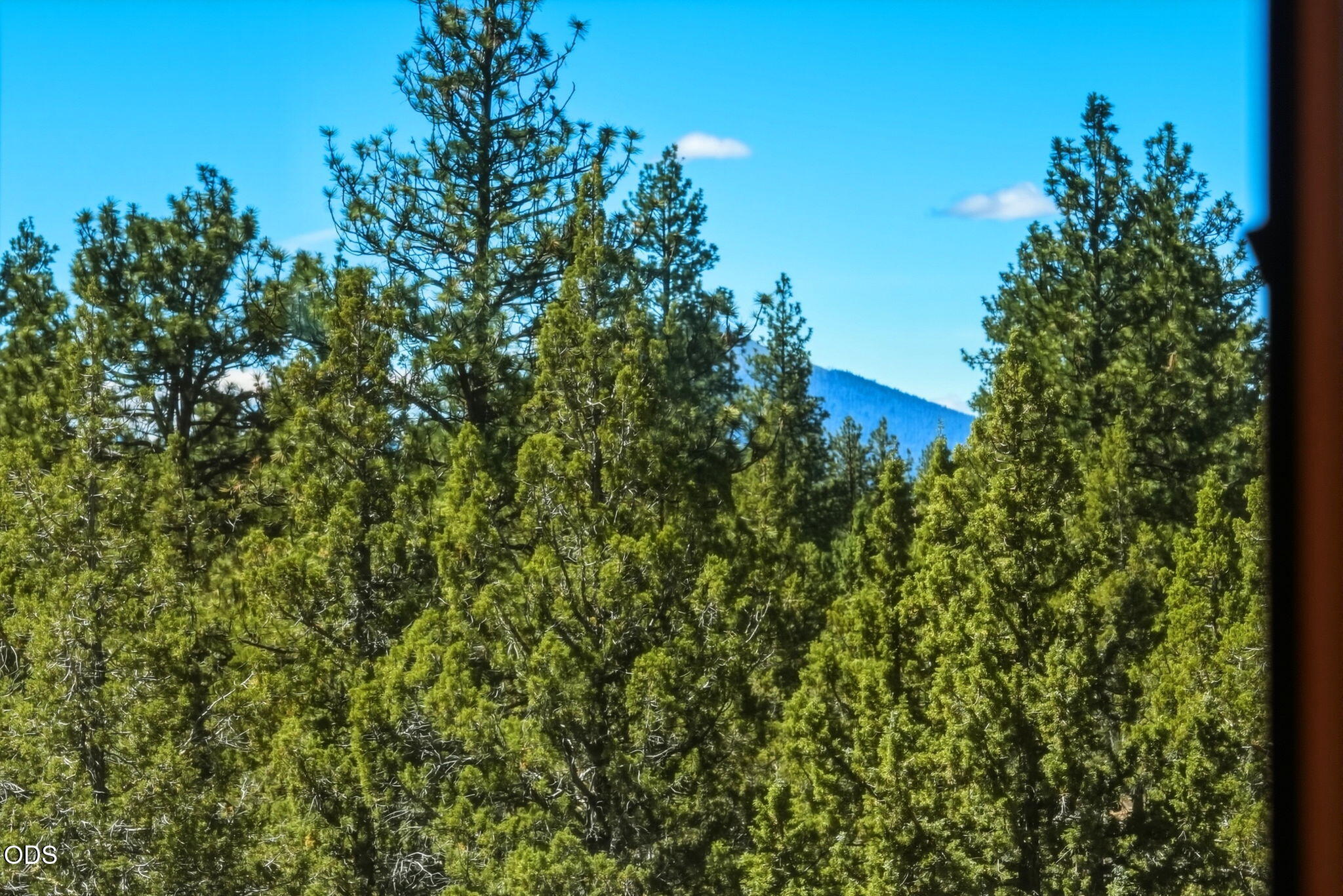 16670 Jordan Road Sisters, OR 97759 - Photo 50 of 90