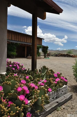 $1,100,000 | 10 Dee Court, Smith Valley, NV 89430