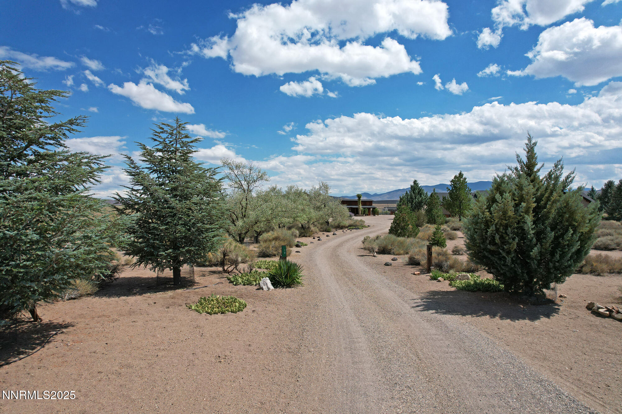 10 Dee Court Smith Valley, NV 89430 - Photo 4 of 59 DJI_0485