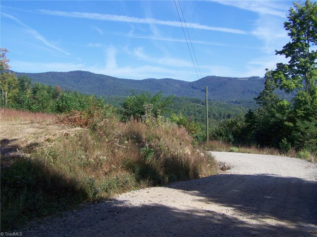 0 Staghorn Road Purlear, NC 28665 - Photo 4 of 4