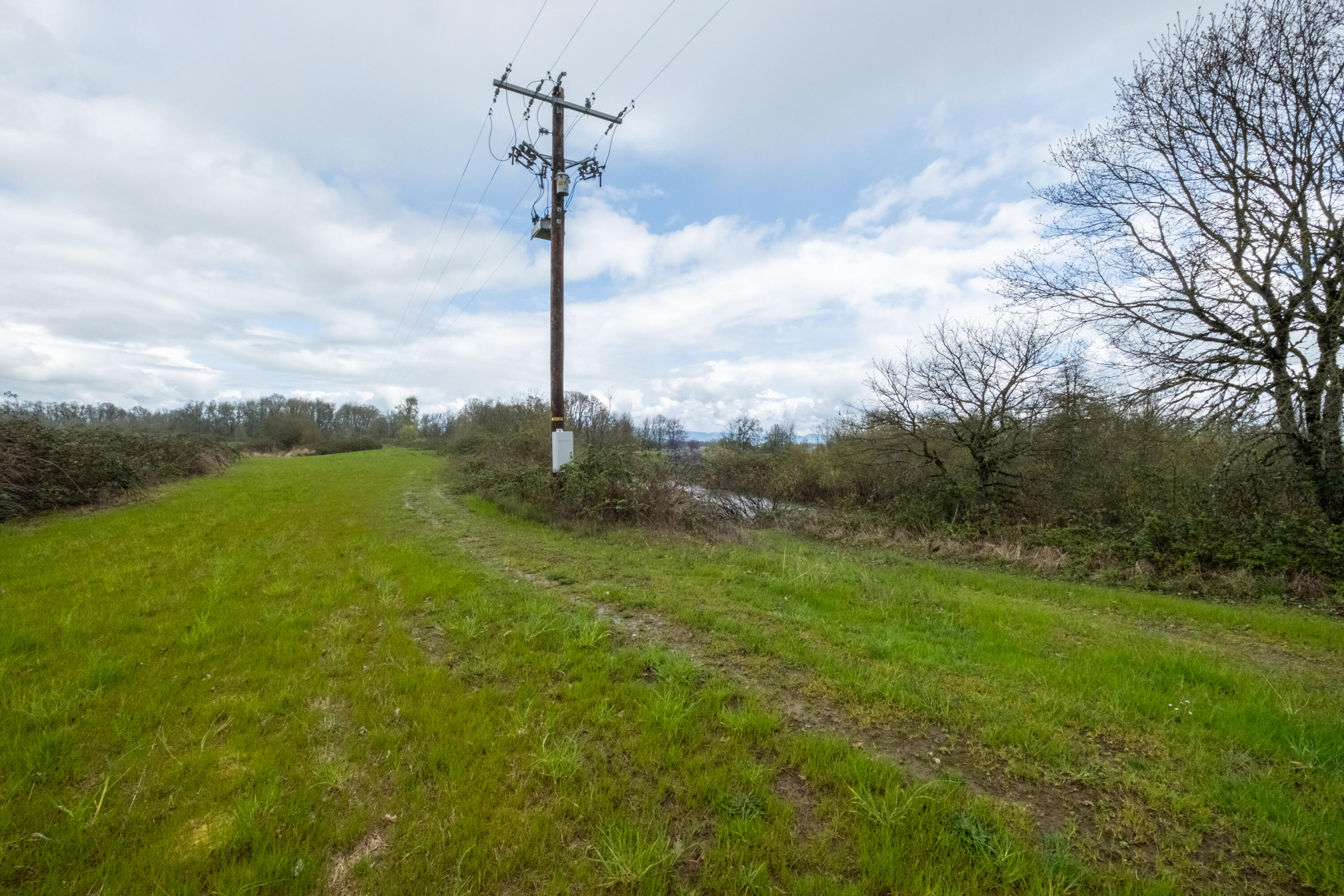 0 Applegate Trail Junction City, OR 97448 - Photo 10 of 27 a view of a city with a big yard and large trees