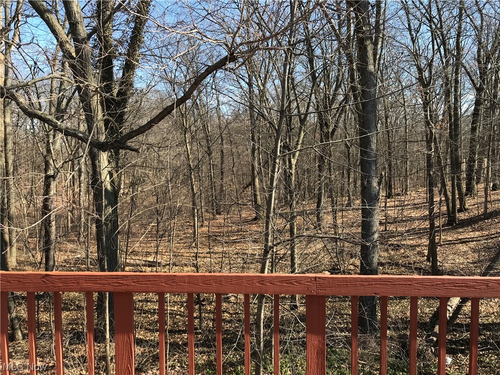 1610 Schroeder Road Mogadore, OH 44260 - Photo 19 of 46 View of nature from the deck