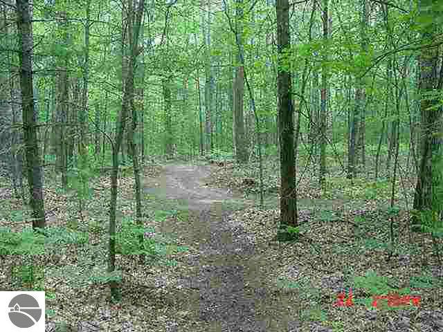 325 South Towerline Road Whittemore, MI 48770 - Photo 8 of 9 1758209-7.JPG
