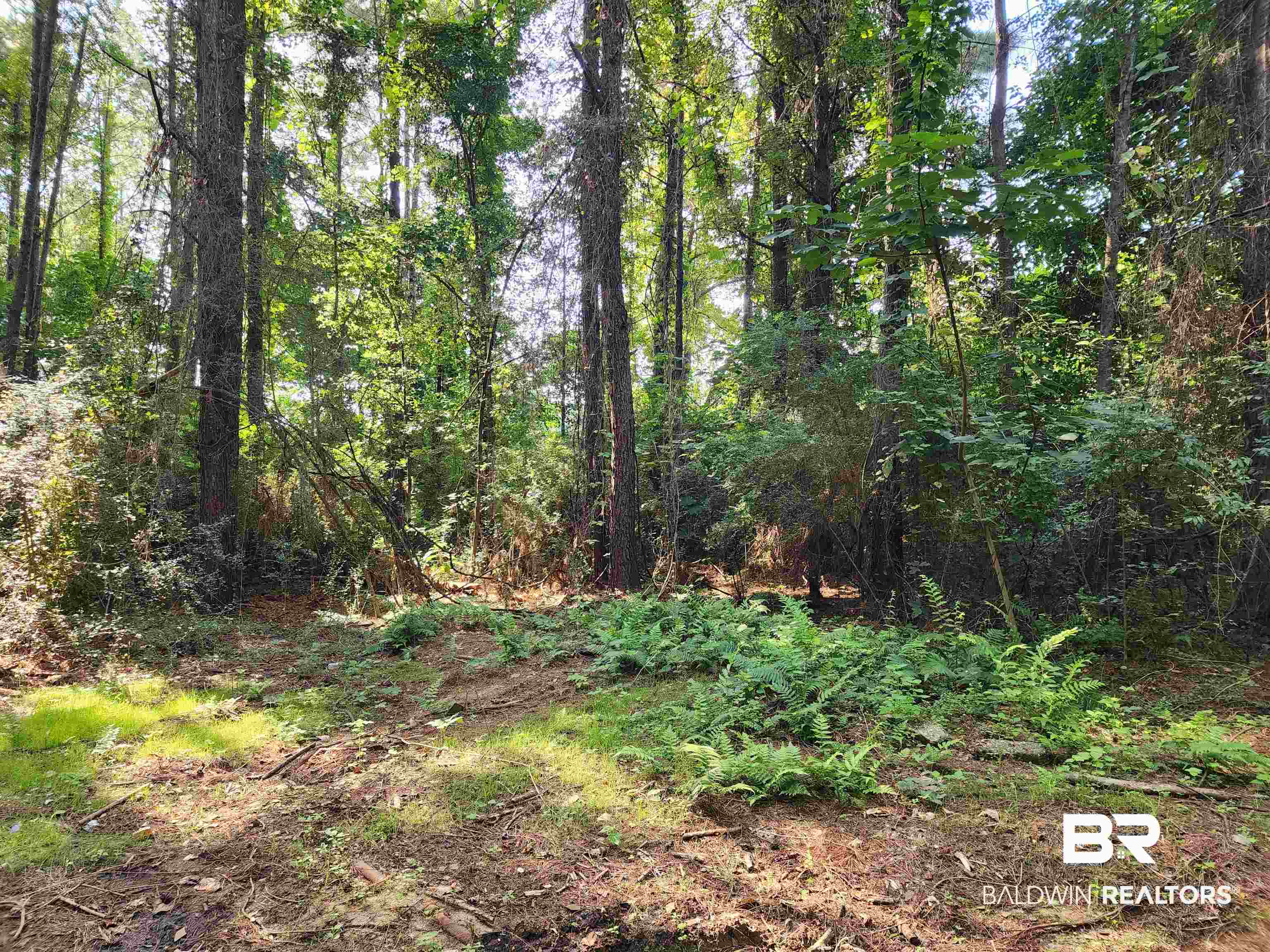 0 Lowery Road Atmore, AL 36502 - Photo 8 of 28