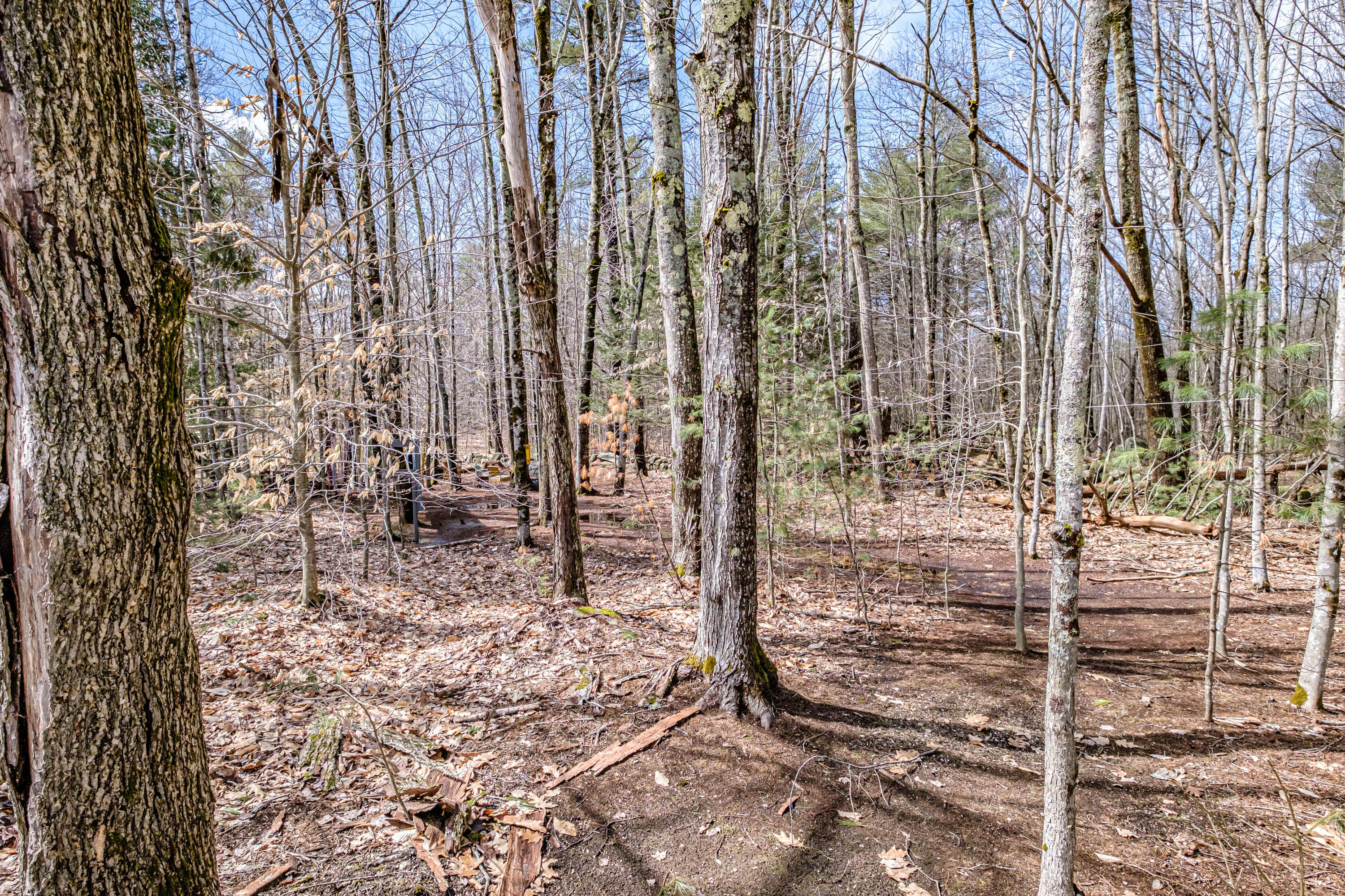 90 Deering Ridge Road East Waterboro, ME 04030 - Photo 58 of 72 20220325gp-60083