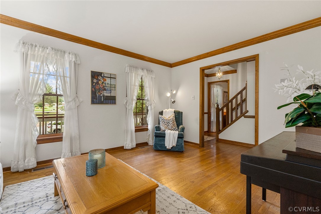 3601 Markey Road Midlothian, VA 23112 - Photo 6 of 33 a living room with furniture and a potted plant