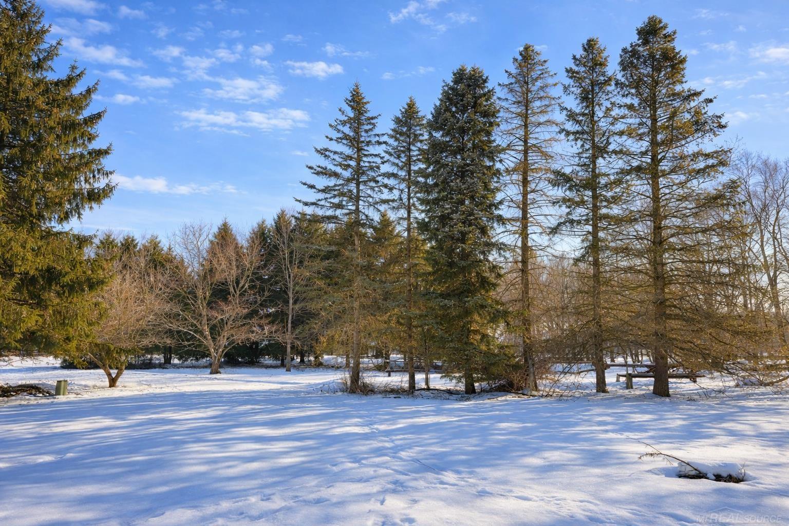 3285 Spring Meadow Drive Rochester, MI 48306 - Photo 2 of 22 Beautiful Yard