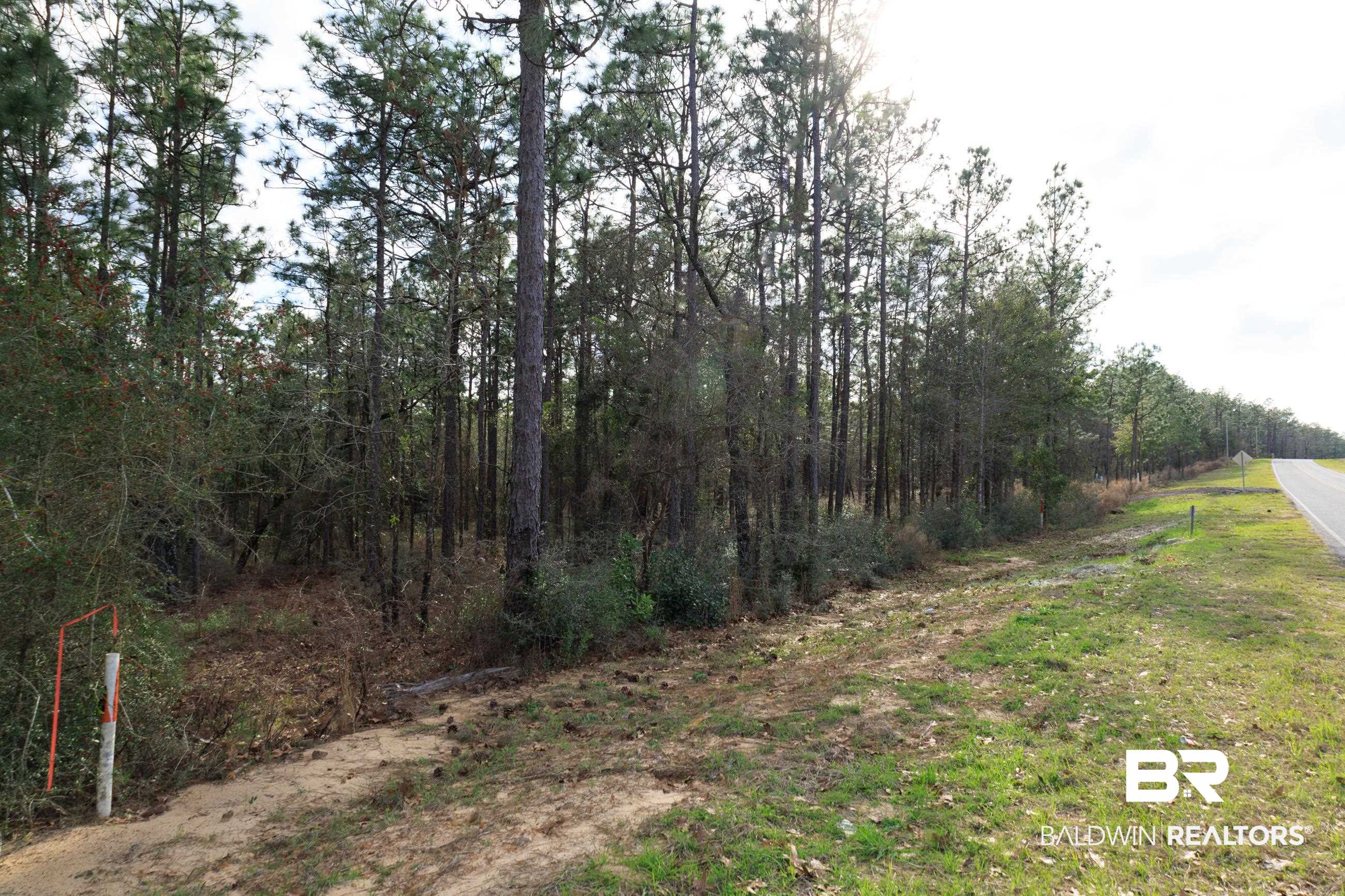 0 Bromley Road Daphne, AL 36527 - Photo 1 of 16