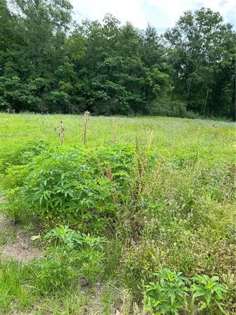 $65,000 | 1010-12 Martin Luther King Avenue, Hammond, LA 70401