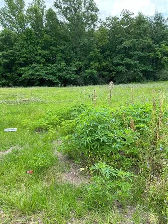 $65,000 | 1010-12 Martin Luther King Avenue, Hammond, LA 70401