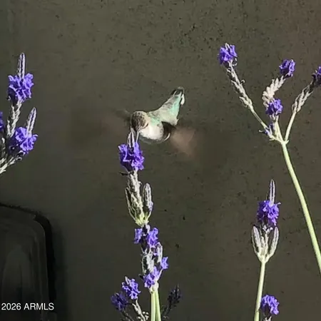 a vase of flowers sitting on a table