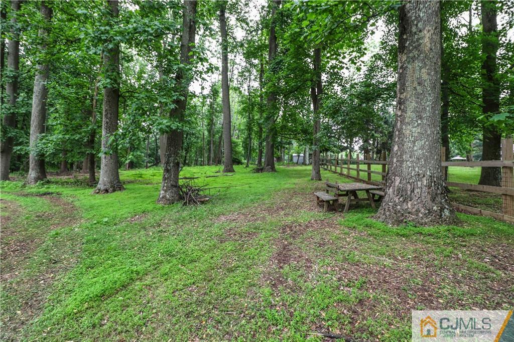 31 Silvers Road Freehold, NJ 07728 - Photo 43 of 46 a view of park with trees