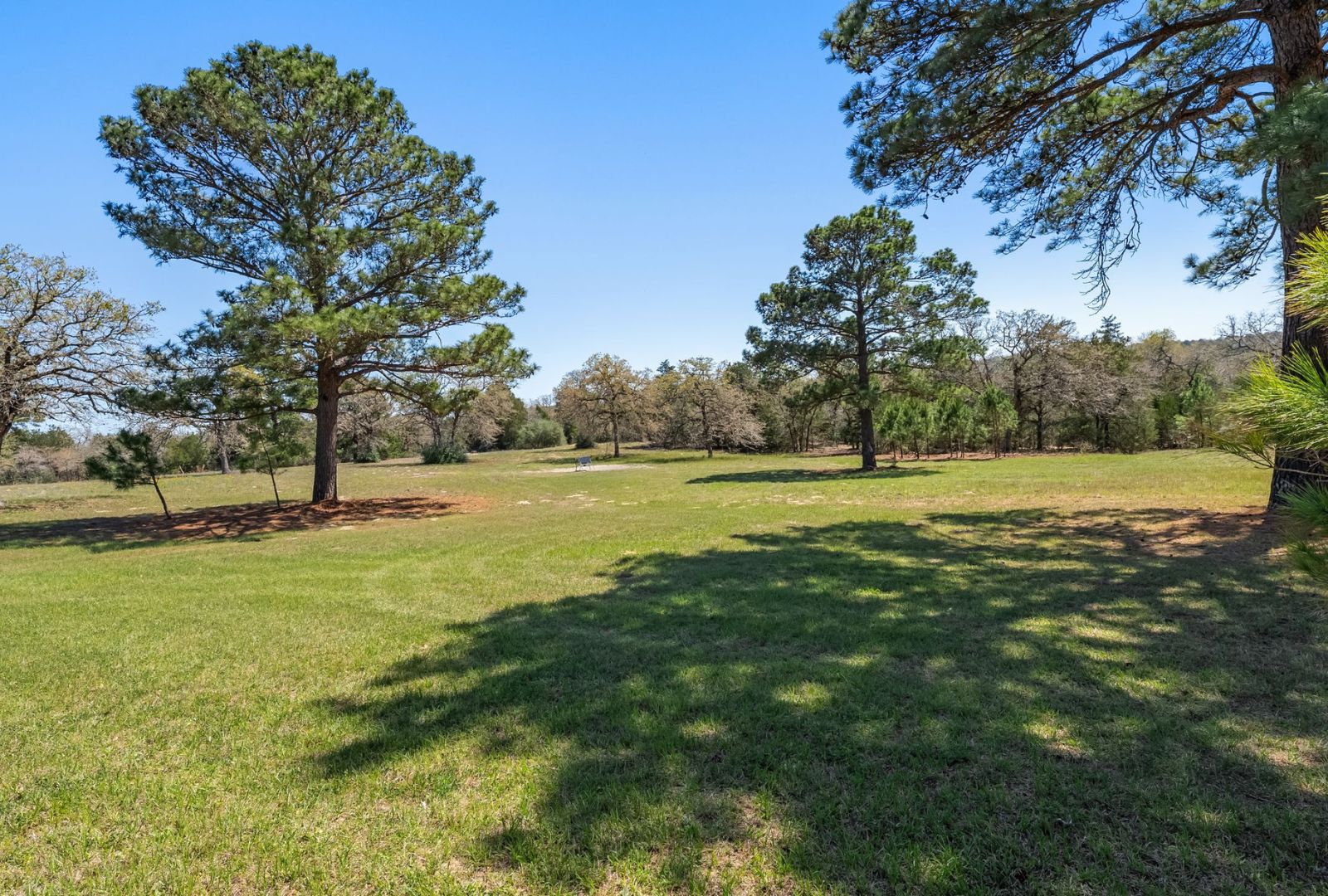 490 John Craft Road Red Rock, TX 78662 - Photo 23 of 40