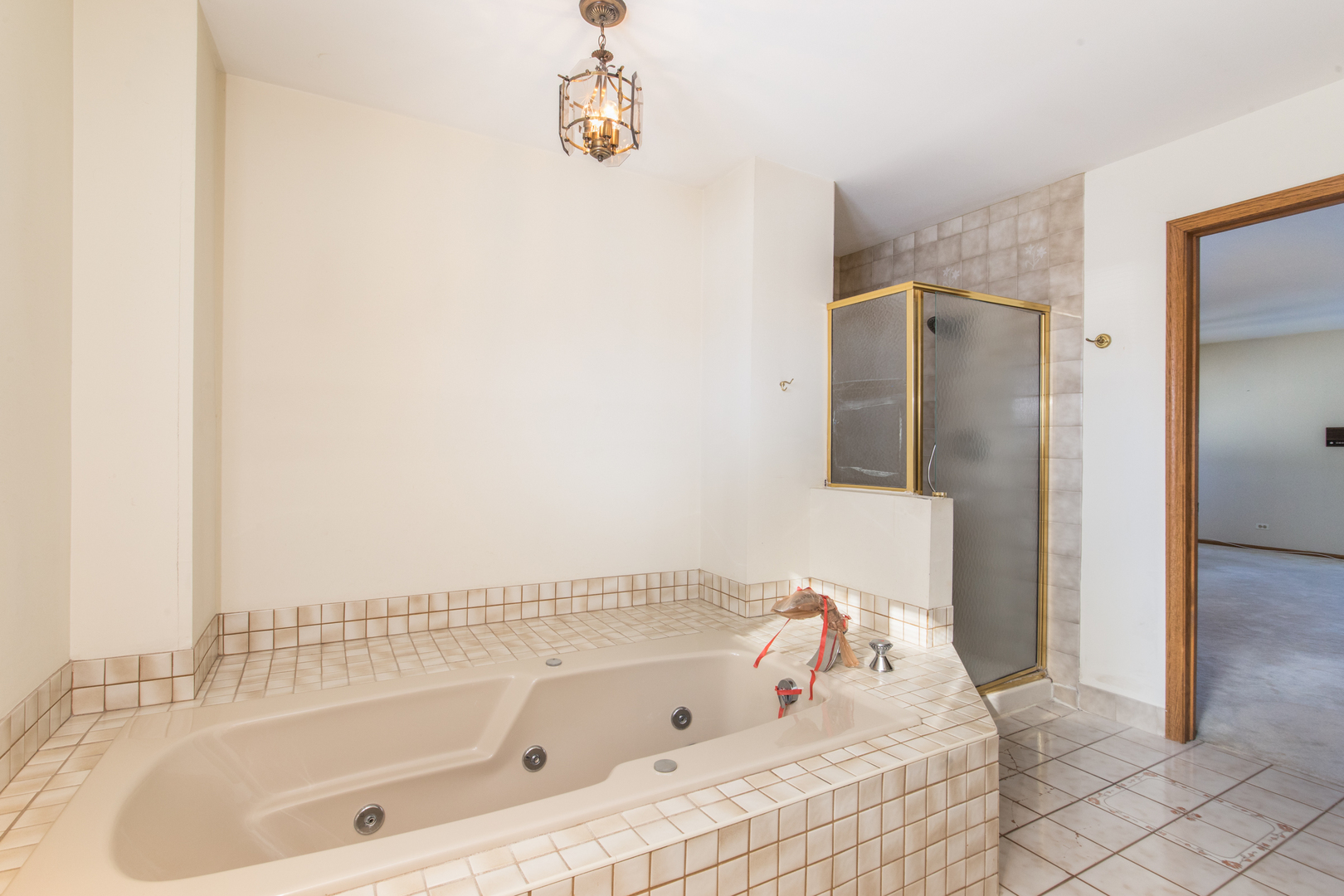 1414 West Talcott Road Park Ridge, IL 60068 - Photo 23 of 41 a bathroom with a tub and shower