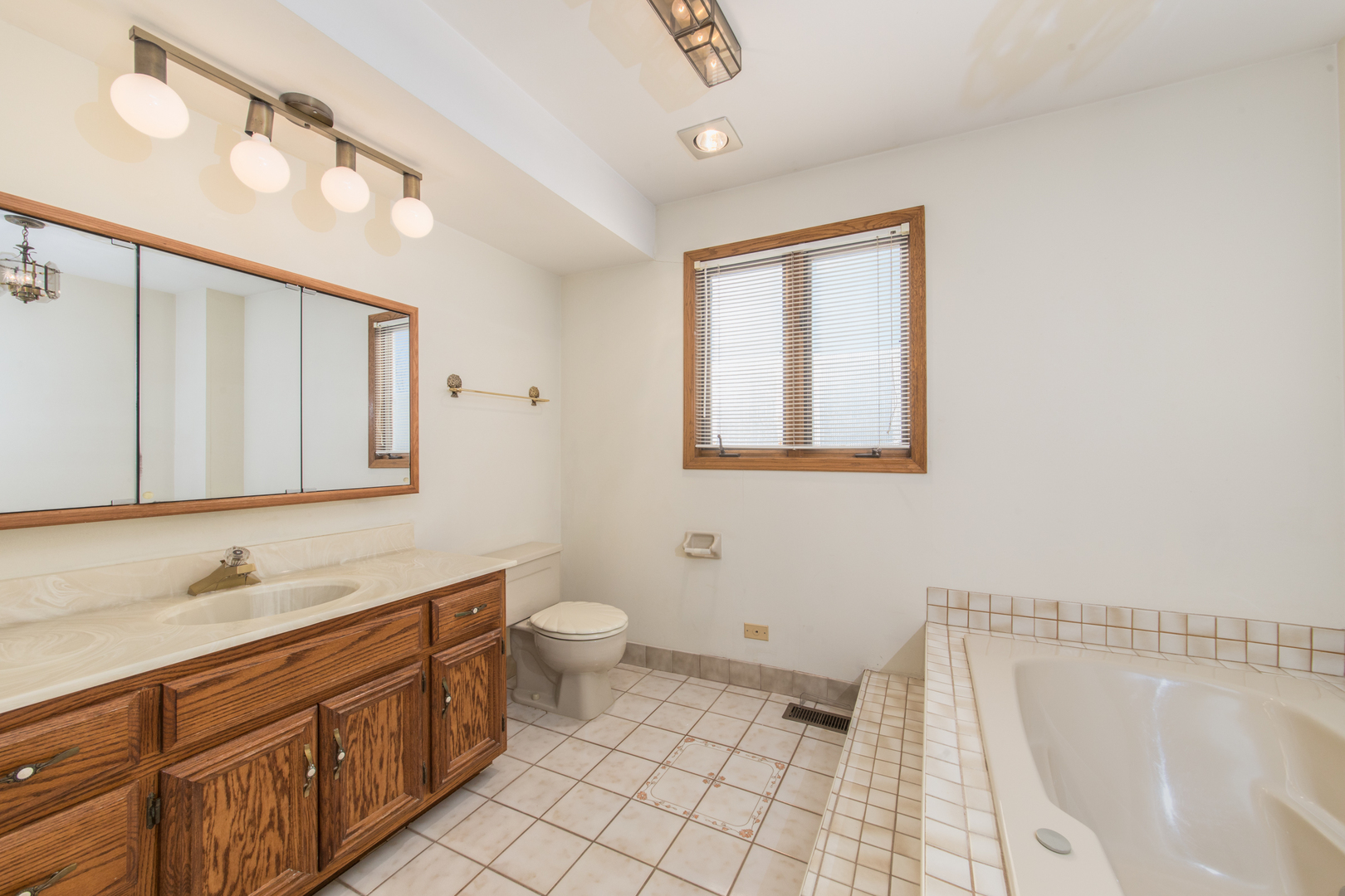 1414 West Talcott Road Park Ridge, IL 60068 - Photo 25 of 41 a bathroom with a sink a toilet and mirror